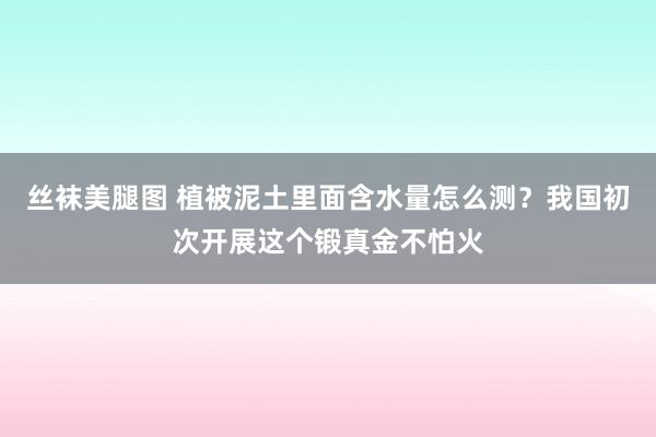 丝袜美腿图 植被泥土里面含水量怎么测？我国初次开展这个锻真金不怕火