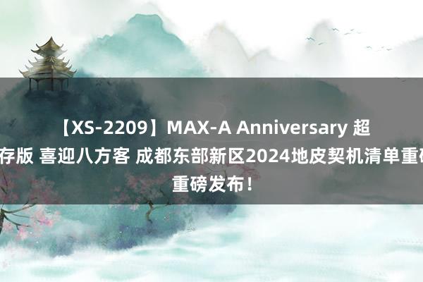 【XS-2209】MAX-A Anniversary 超永久保存版 喜迎八方客 成都东部新区2024地皮契机清单重磅发布！